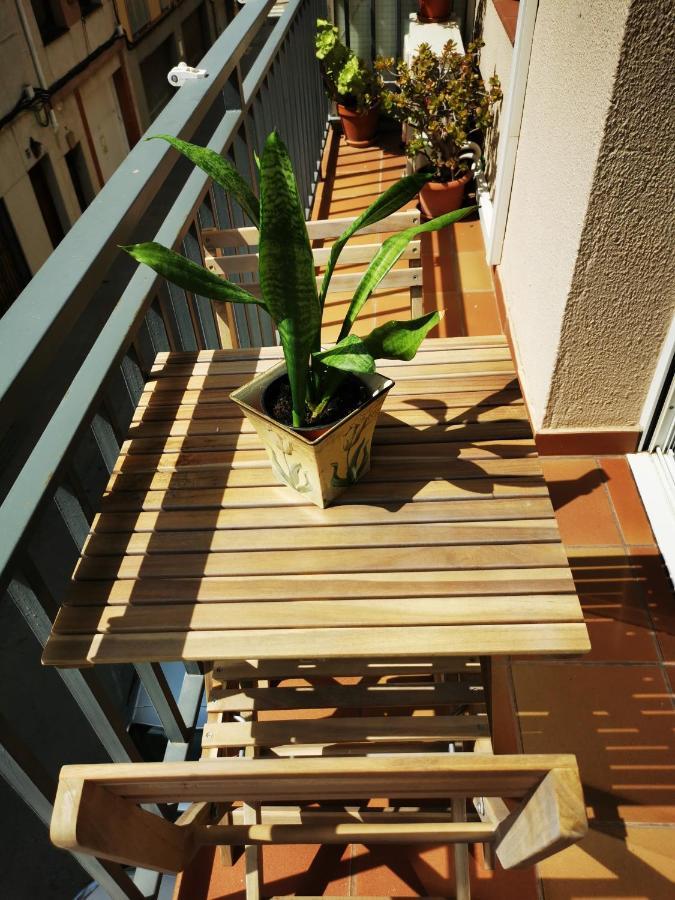 Premiá de Mar Elsi'S Place מראה חיצוני תמונה